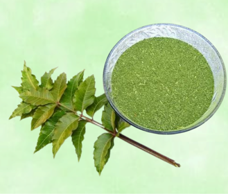 Neem Leaves